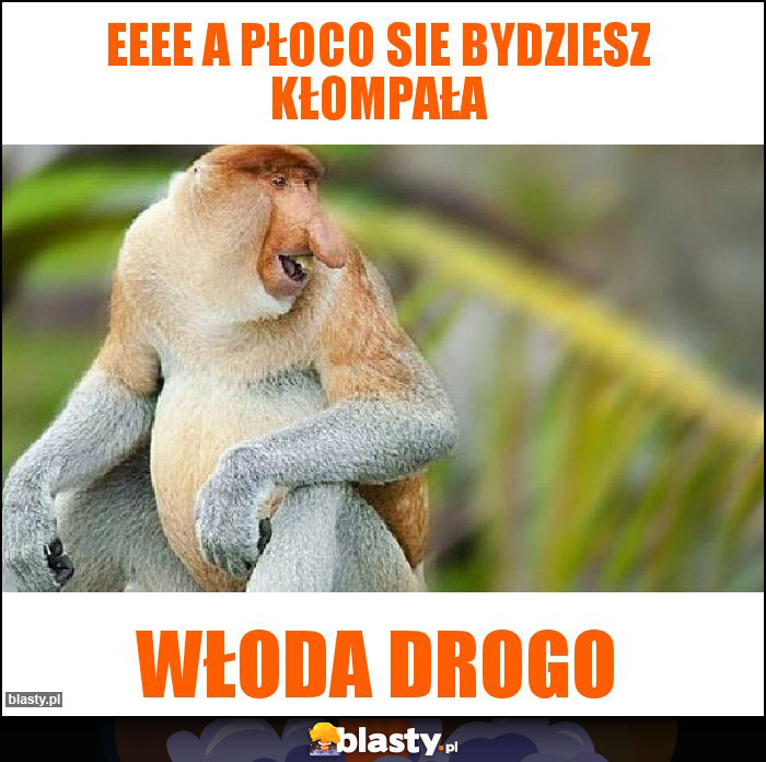 Eeee a płoco sie bydziesz kłompała