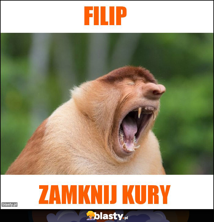 Filip