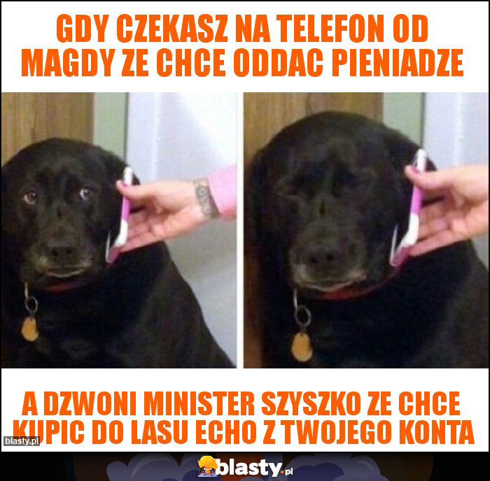 gdy czekasz na telefon od magdy ze chce oddac pieniadze