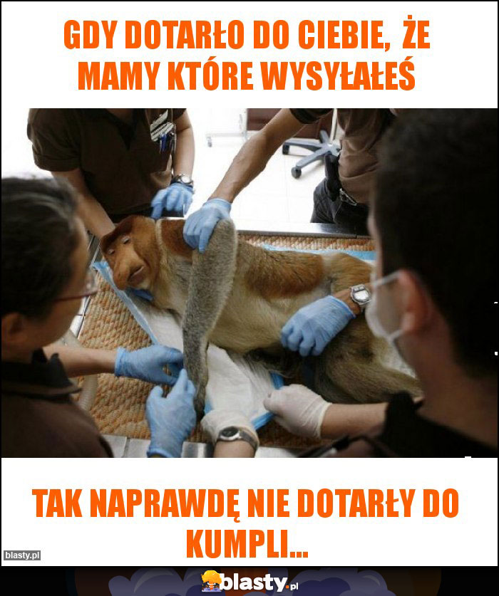 Gdy dotarło do Ciebie,  że mamy które wysyłałeś