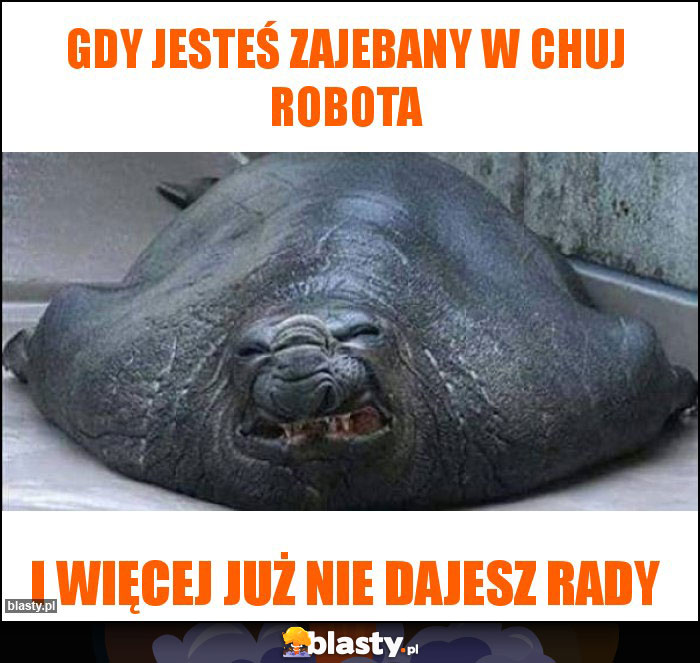 Gdy jesteś zajebany w chuj robota