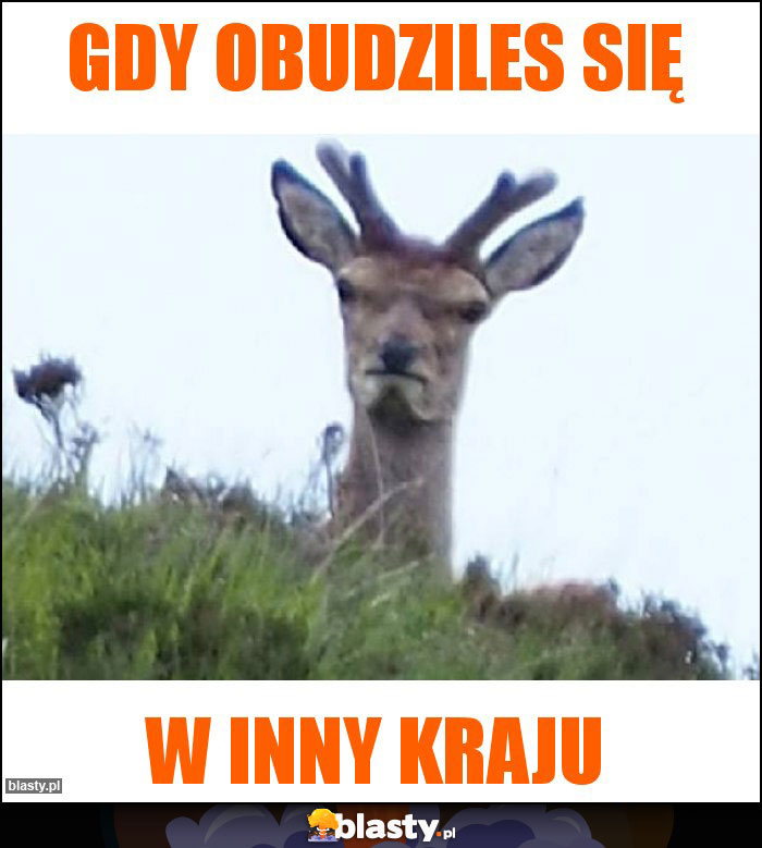 Gdy obudziles się