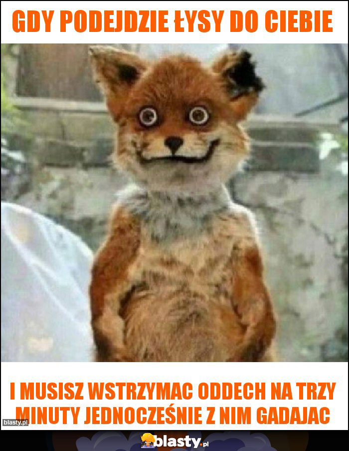 Gdy podejdzie łysy do ciebie