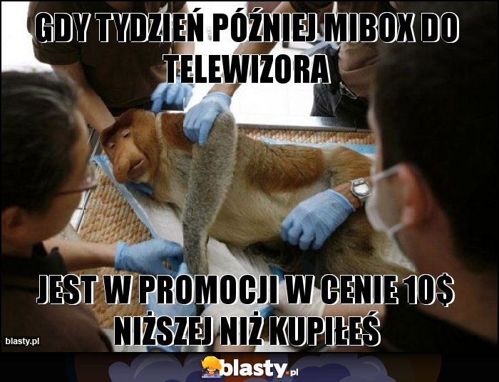 Gdy tydzień później MiBox do telewizora