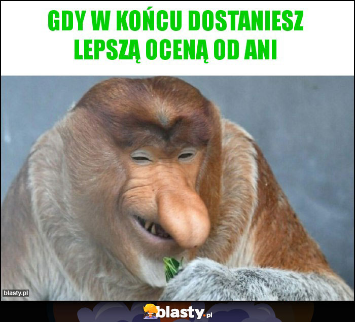 Gdy w końcu dostaniesz lepszą oceną od Ani