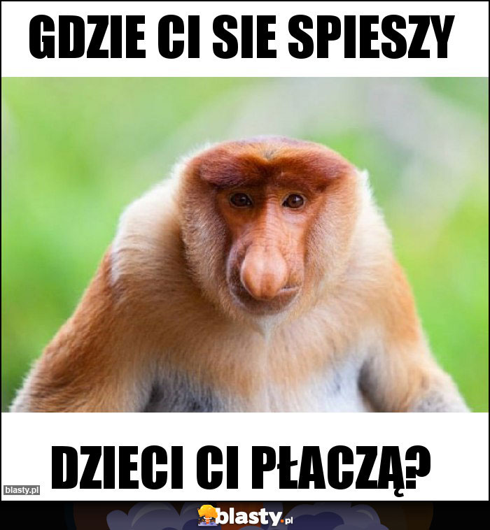 GDZIE CI SIE SPIESZY