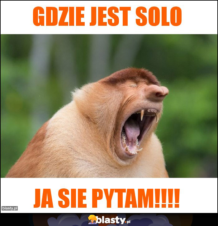 gdzie jest solo