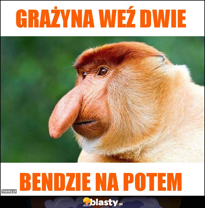 GRAŻYNA WEŹ DWIE