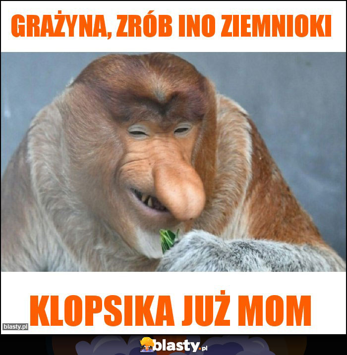 Grażyna, zrób ino ziemnioki