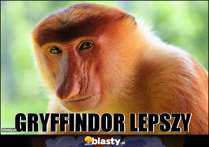 GRYFFINDOR LEPSZY