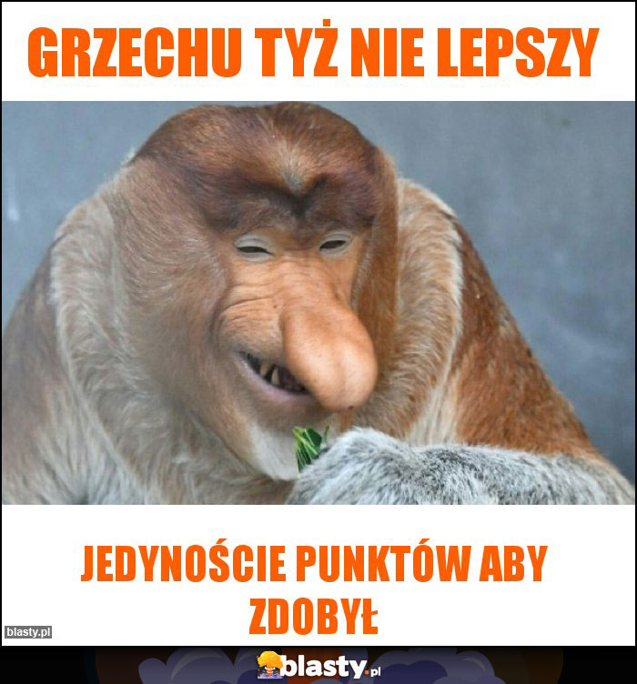 Grzechu tyż nie lepszy