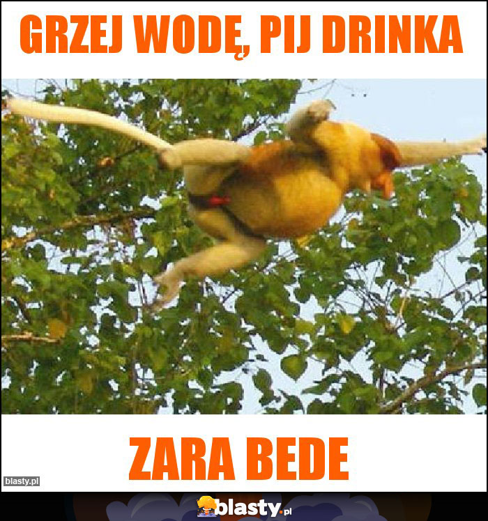 Grzej wodę, pij drinka