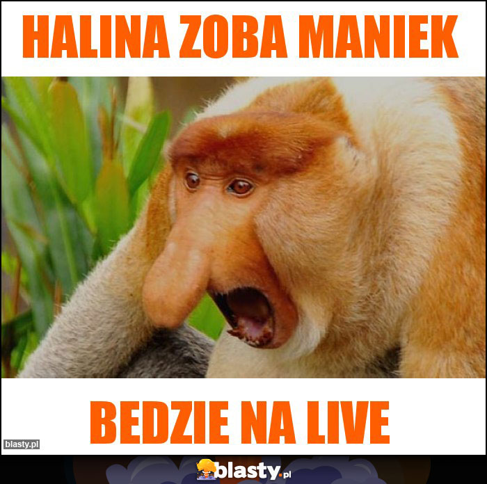 Halina zoba maniek