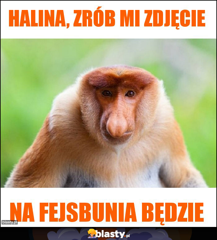 Halina, zrób mi zdjęcie