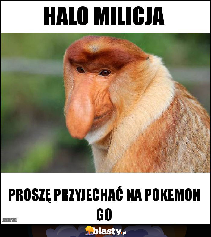 Halo milicja