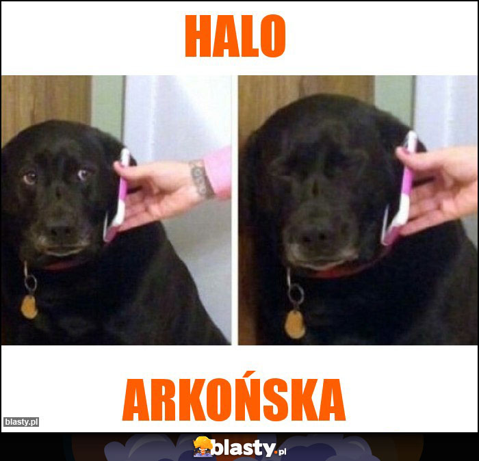 Halo