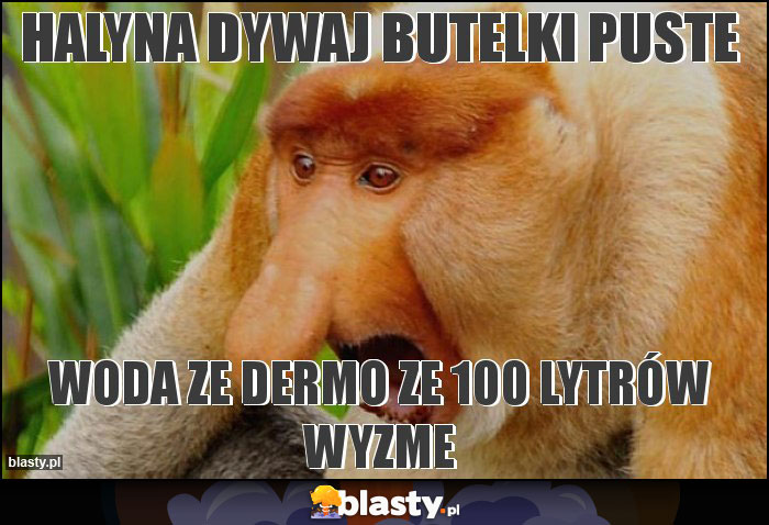 Halyna dywaj butelki puste