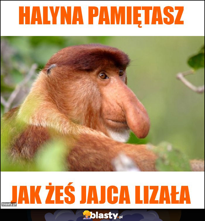 Halyna pamiętasz