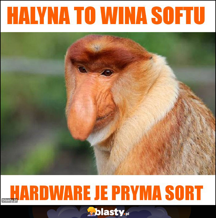 Halyna to wina softu