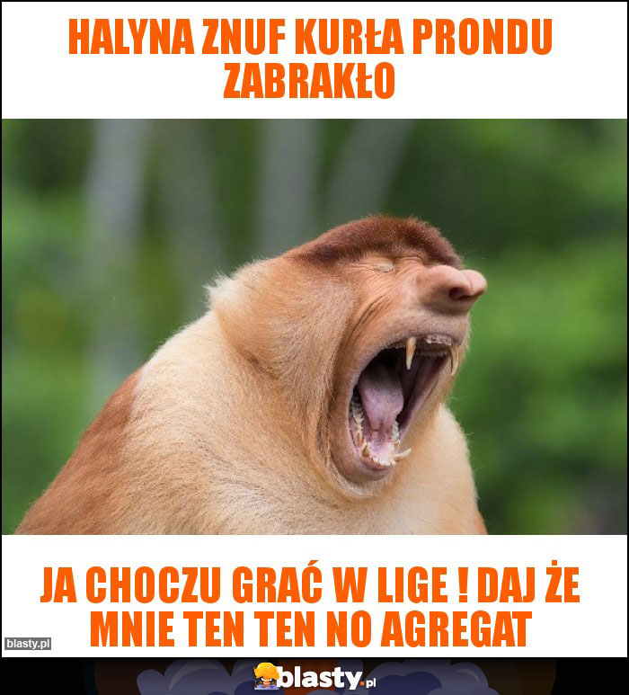 HALYNA ZNUF KURŁA PRONDU ZABRAKŁO