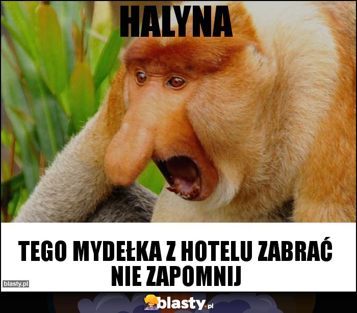 HALYNA