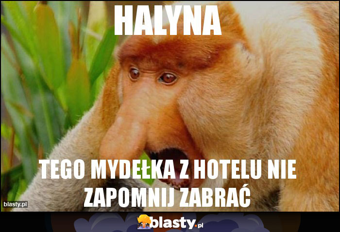 HALYNA