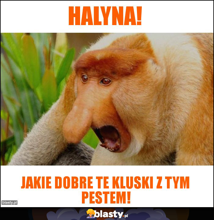 Halyna!