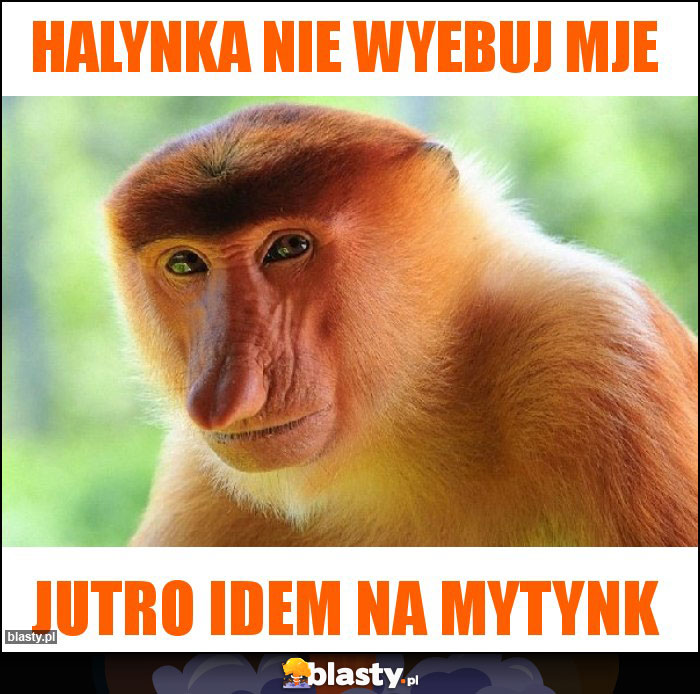 Halynka nie wyebuj mje