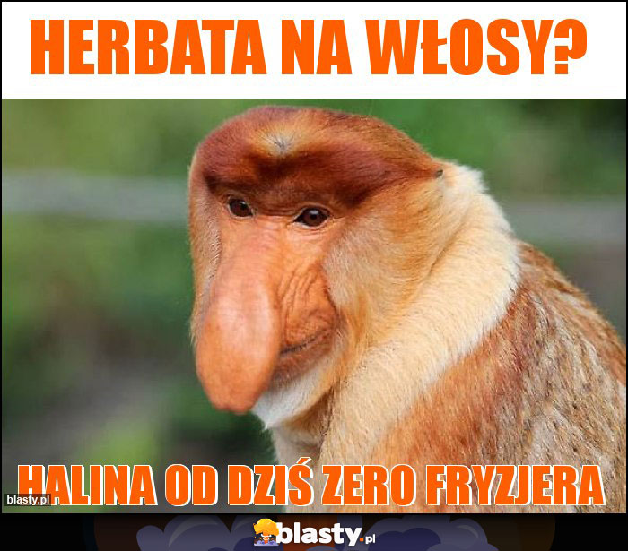 HERBATA NA Włosy?