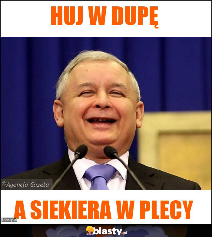 Huj w dupę