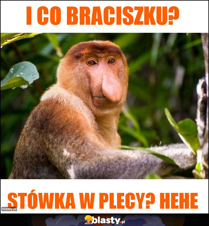 I co Braciszku?