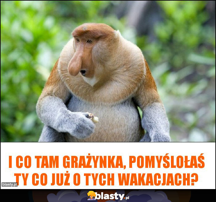 I co tam grażynka, pomyślołaś ty co już o tych wakacjach?