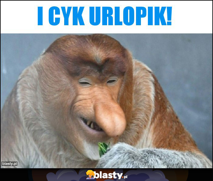 I cyk urlopik!