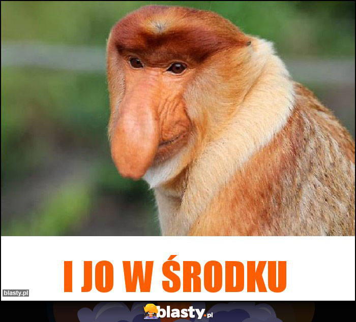 I jo w środku