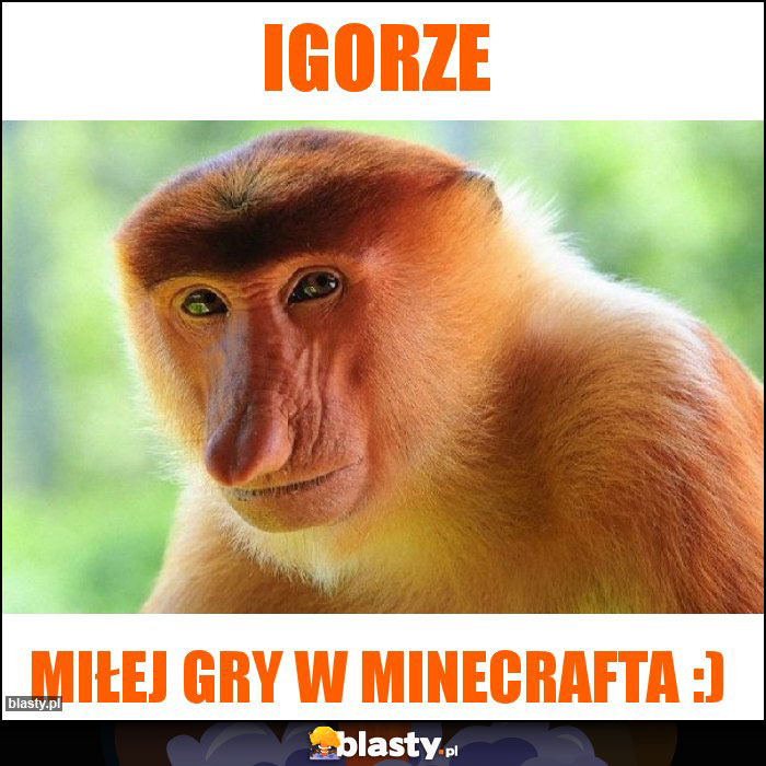 igorze