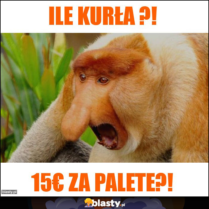 Ile kurła ?!