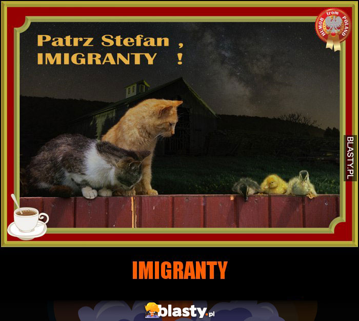 IMIGRANTY