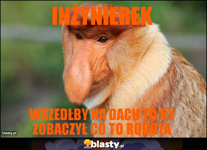 Inżynierek