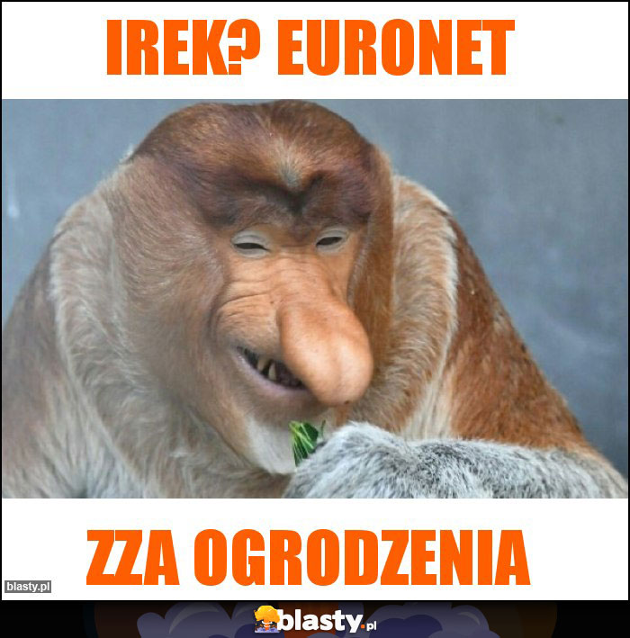 Irek? Euronet