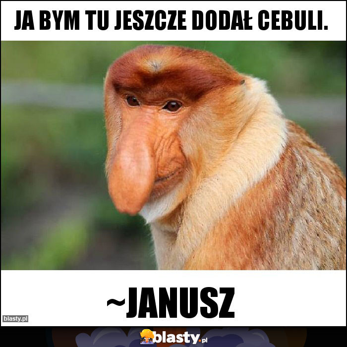 Ja bym tu jeszcze dodał cebuli.