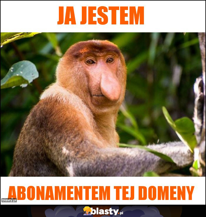 Ja jestem