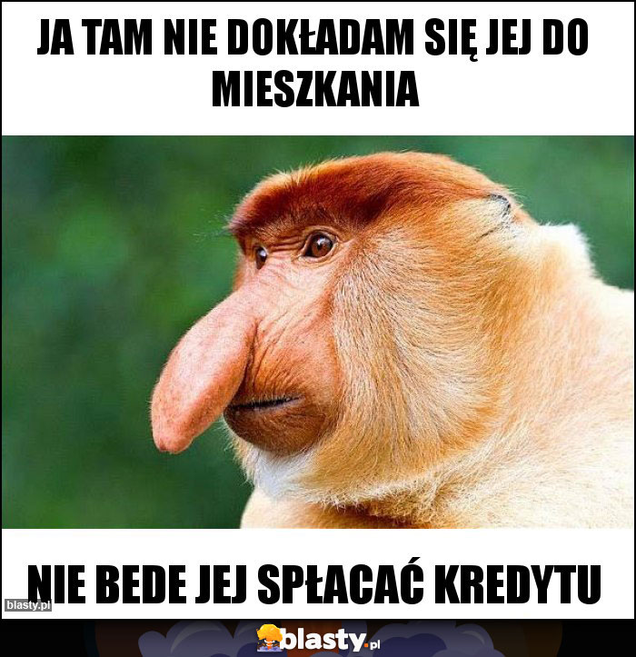 JA TAM NIE DOKŁADAM SIĘ JEJ DO MIESZKANIA