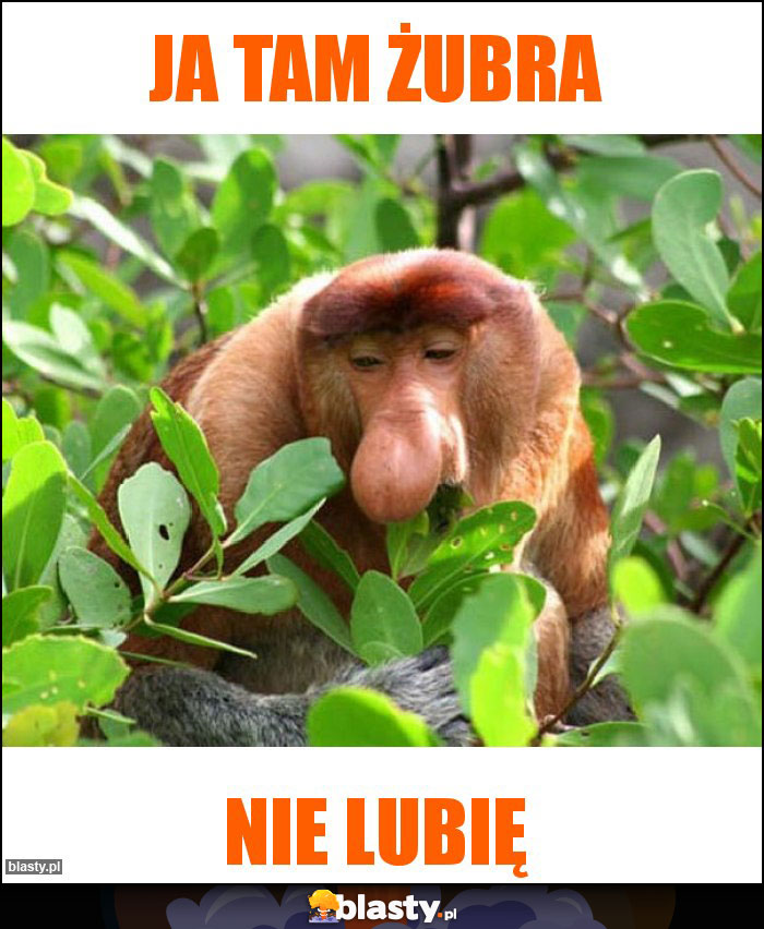 Ja tam żubra