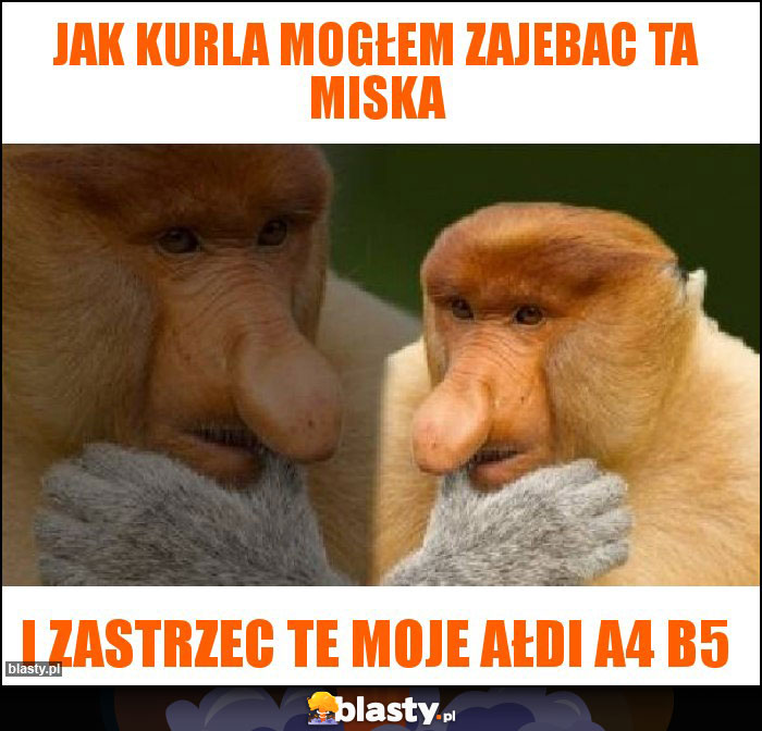 Jak kurla mogłem zajebac ta miska