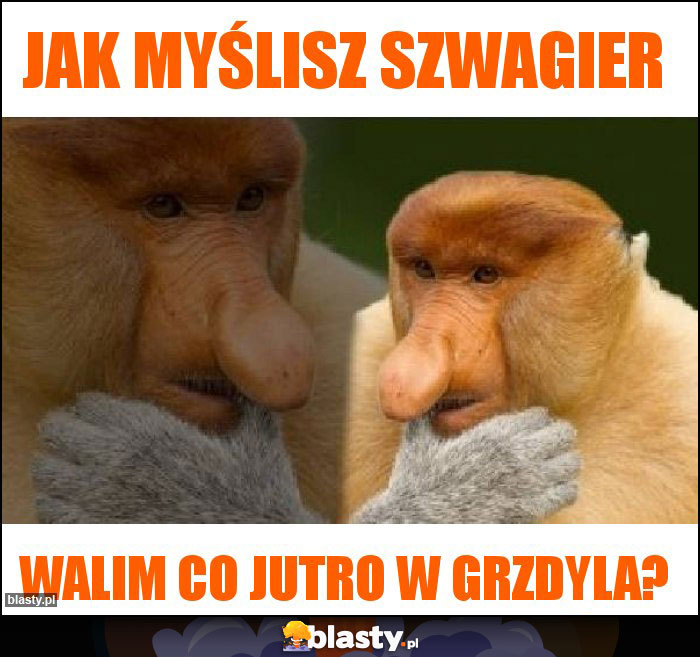 Jak myślisz szwagier