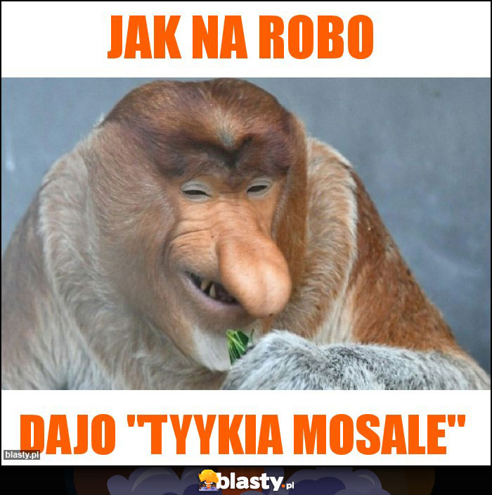 Jak na Robo