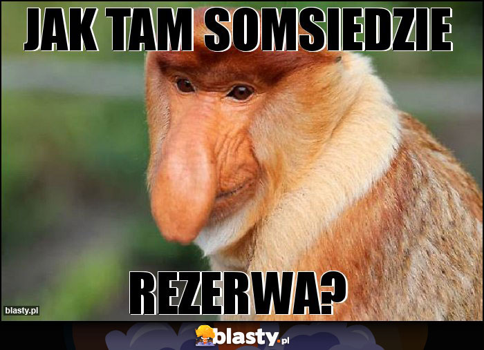 jak tam somsiedzie