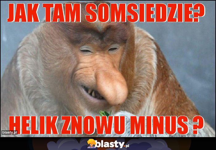 Jak tam somsiedzie?