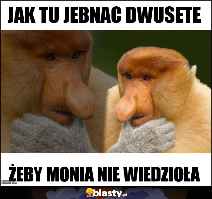 Jak tu jebnac dwusete