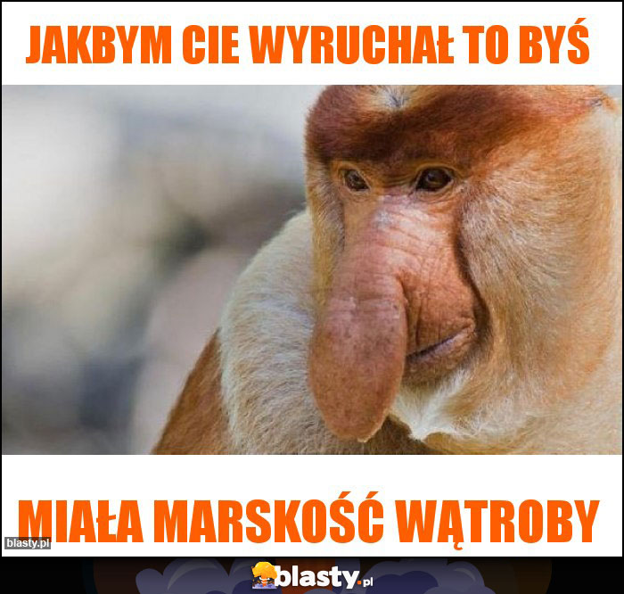 Jakbym Cie wyruchał to byś